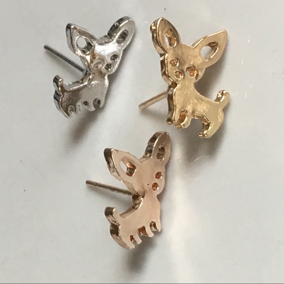 fennec fox chihuahua